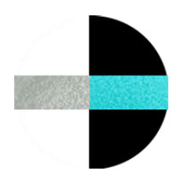 Load image into Gallery viewer, Metallic Pigment Glitter- 8 Oz Glow Series