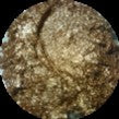 Charger l&#39;image dans la galerie, Metallic Pigment Glitter- 8 Oz Multiple-Series
