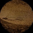 Charger l&#39;image dans la galerie, Metallic Pigment Glitter- 8 Oz Multiple-Series
